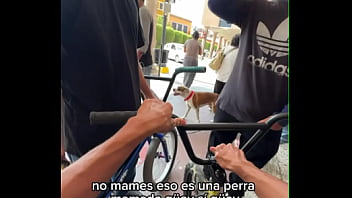 Se detonan a daks traste grande se le vetodo el ogte