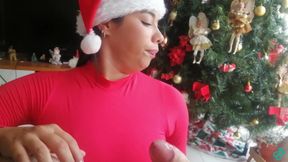 Christmas Blowjob with Cum Swallow