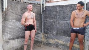 carmona e cobra batendo uma no quintal