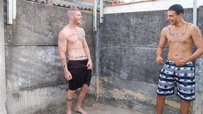 carmona e cobra batendo uma no quintal