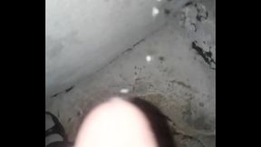 ME SACO TODOS LOS MECOS