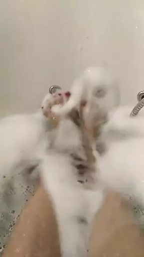 Feeteve video