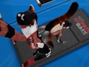 Public Gym Fuck Red Panda Cumflation Breeding - Second Life Yiff