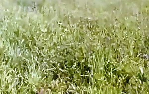 Wife left tied up and fucked by stranger