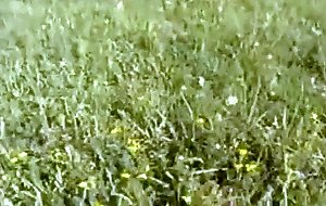 Wife left tied up and fucked by stranger