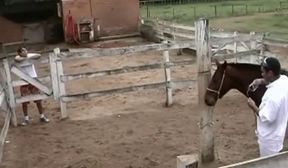 Watch Brazilian Cowboy