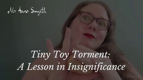Tiny Toy Torment: A Lesson in Insignificance