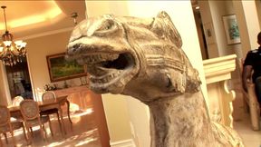 Sexy Brunnete Loves Big Black Cock in All Holes