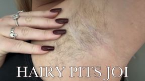 HAIRY PITS JOI