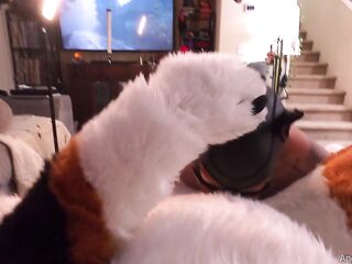 POV U're a fursuiter getting a oral job from Pup FiggyStarship