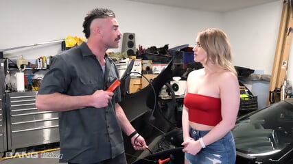 Not Just A Car Inspector