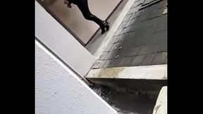 sabrosa culona fac derecho xalapa