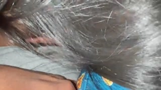 Valentines Day public film hall වැලන්ටයින් දවසෙ ෆිල්ම් හෝල් බොක්ස්&nbsp;එකේ