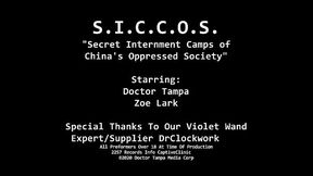 Black-haired Asian beauty gets a degrading handjob and ass spread