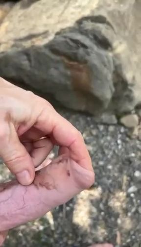Outdoor wank 2