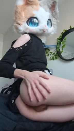 Cute fursuit kitty cat teases her asshole &amp; hairy pussy with giant Bad Dragon Chance dildo! :3