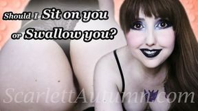 Should I sit on you or eat you? - WMV SD 480p
