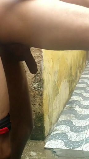 My Neighbor Loves to Play with Me in the Backyard