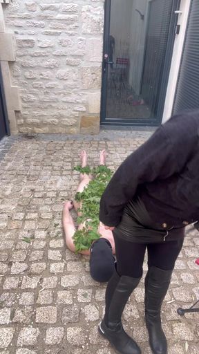 It Stings the Nettles...