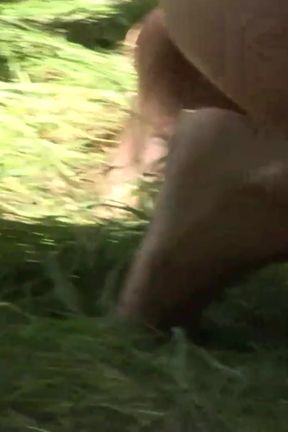 Ass fucking hot beauty in the wild