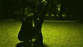 Having sex in a public place gives me special pleasure.