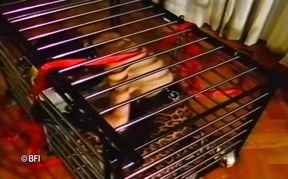 Taming the slave   NO AUDIO