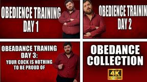 The Obediance Collection - 4k UHD 2160p - KingMarti