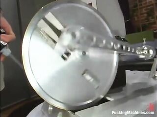 Chynawhite, Dragonlily and Shannon Kelly