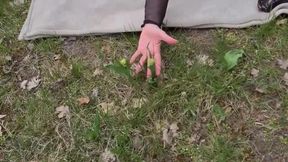 The spring has broken