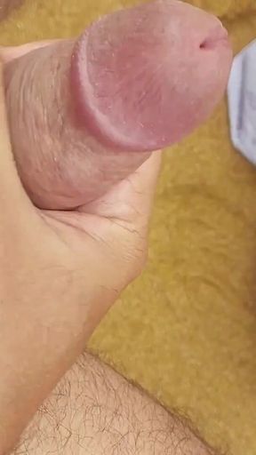 Ladysilva Jerking off My Hot Cock on the Beach
