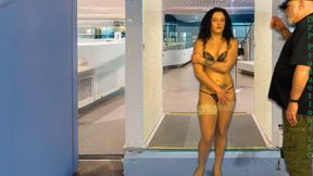 Airport Security: Rising Star  (2026)