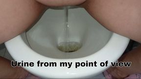 Urine from my point of view