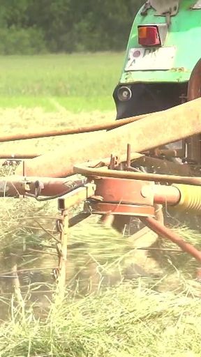 Hot MILFs Are Ready for Cock Riding and Cumshot Outdoor Compilation