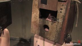 The Auditons Part Three