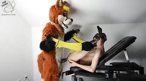 Puppy gets poked by fursuit with  dildo