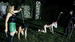 Night pony training contest at Dracula Femdom Castle