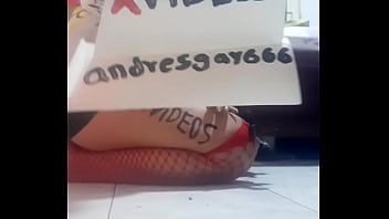 V&iacute_deo de verificaci&oacute_n