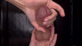 Cock Milking From Above - Let It Rain Cum