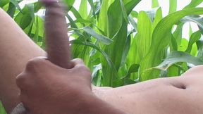 Worldwide Viral Desi Hunk Solo Action Part 4 - Premium Faceless Amateur Close-up Raw Stroking Session 4K