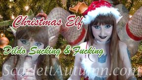 Christmas Elf Sucks and Fucks a Dildo wmv
