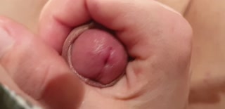 cuckold hubby denied