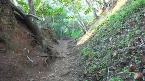 Virtual vacation in kauai with lily adams part 3
