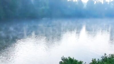 Ass fucking story SUNNY JUST DO IT