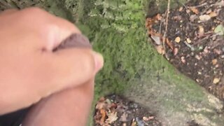 Car fun ends with outdoor ejaculation
