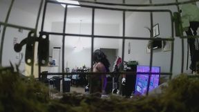 giantess - Giantess MXDominion Keeps You as Her Pet POV, femdom, goddess worship 4k