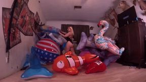 Galas Pops All of the Inflatables!!!: Humping Bouncing Blowing Popping & POV Handjob - HD mp4