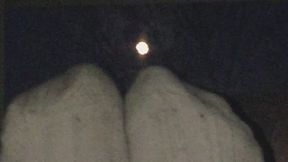 MIDNIGHT MOON