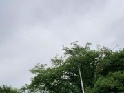 Japanese college student practicing sexual intercourse outdoors!【Big ass & Dick】【Spanked many times】
