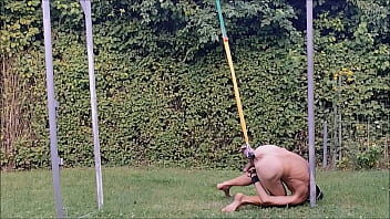 naked pathetic slave exposed outdoor, handcuffed, testicles stretched in humbler, BDSM CBT