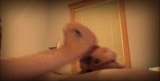 Solo Masturbation